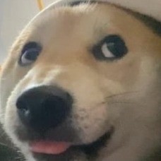 唤境用户95800324