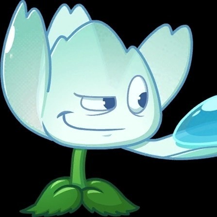 冰莲waterlotus