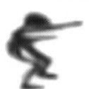鸽哥咕咕咕