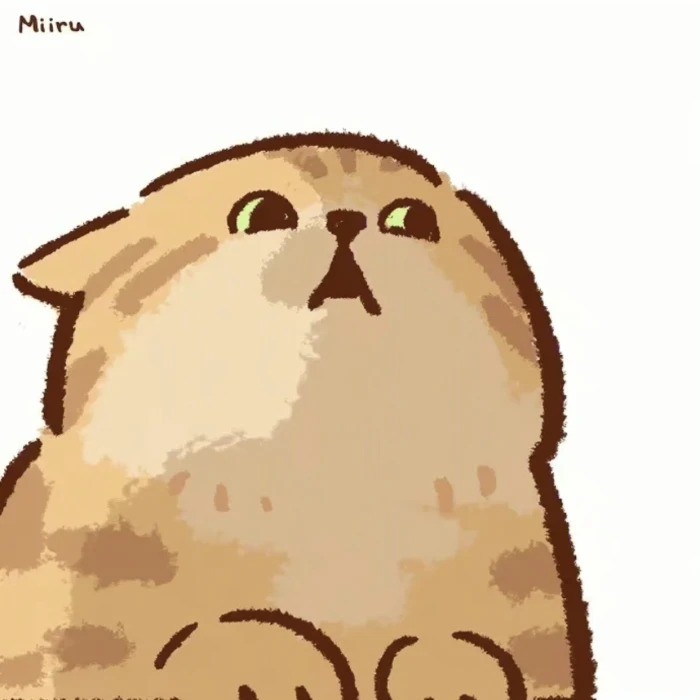0江枫0