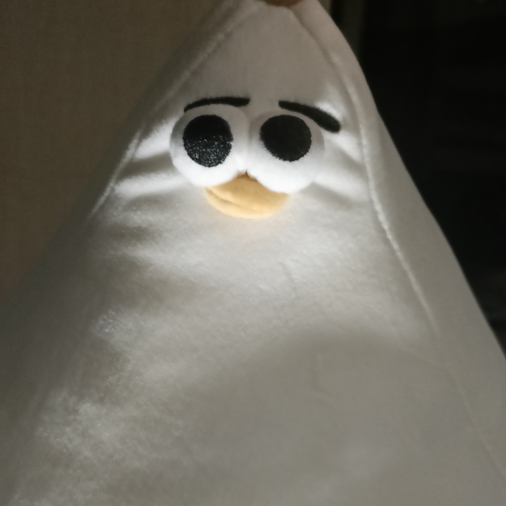 阿泠lllll