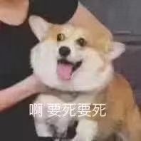 Tanhbr