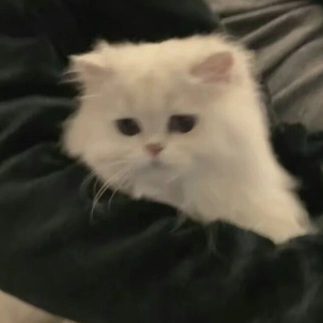 姜片不喜欢吃姜片