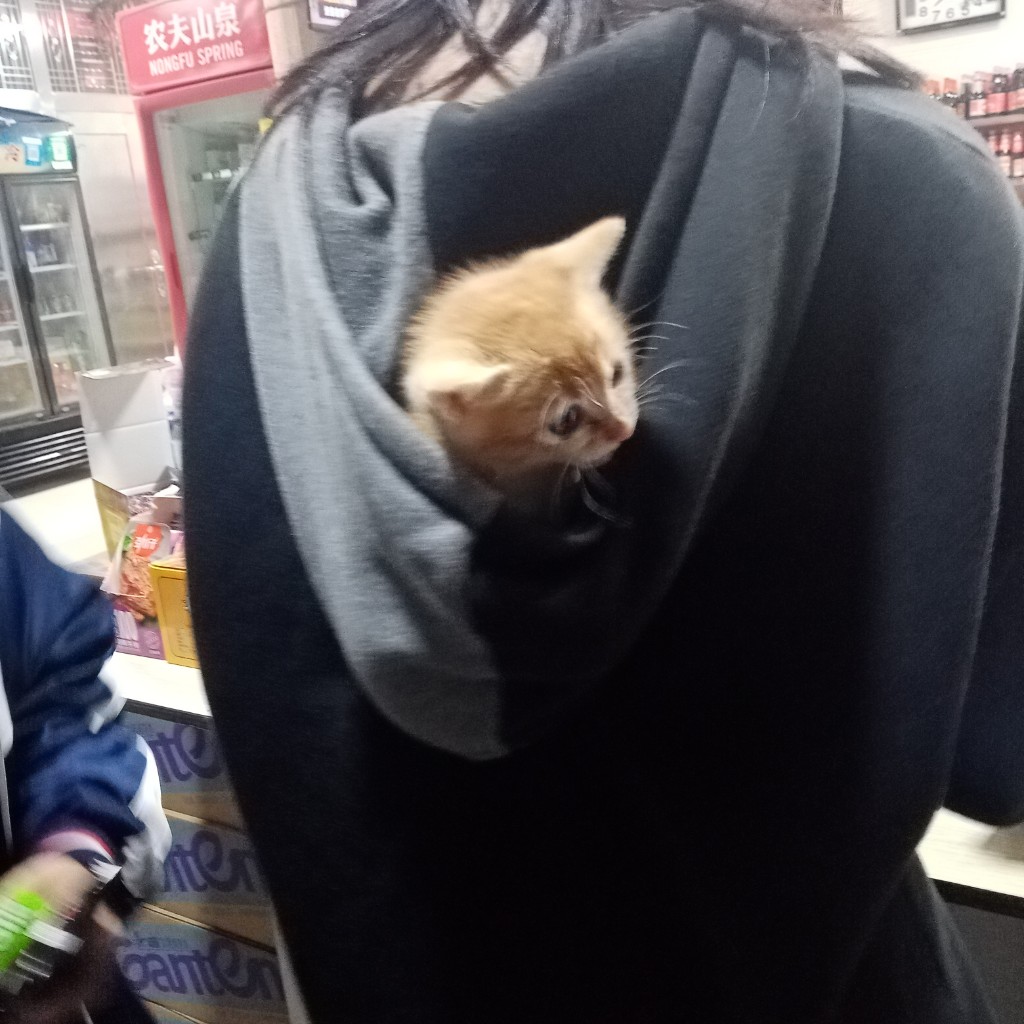 郭jio楠