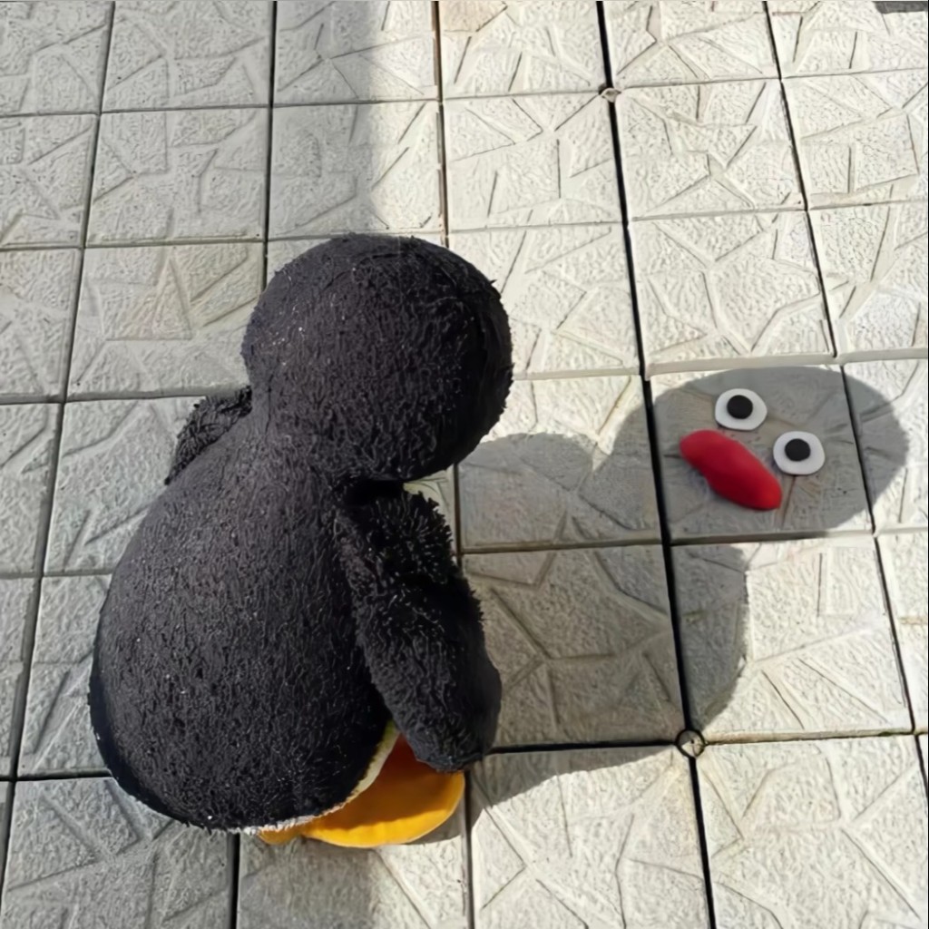寻倌08