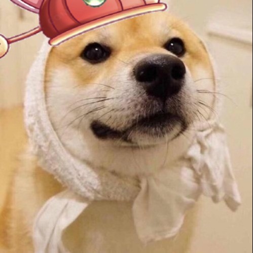 骄阳小西叽