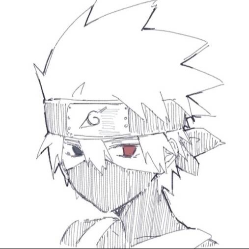 no鼻