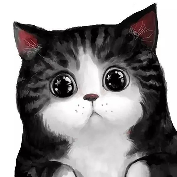 猫工作室
