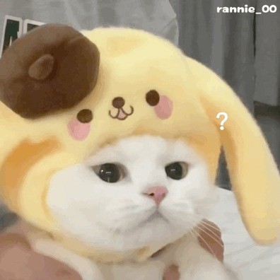 亲猪难猪