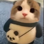夏至小星星
