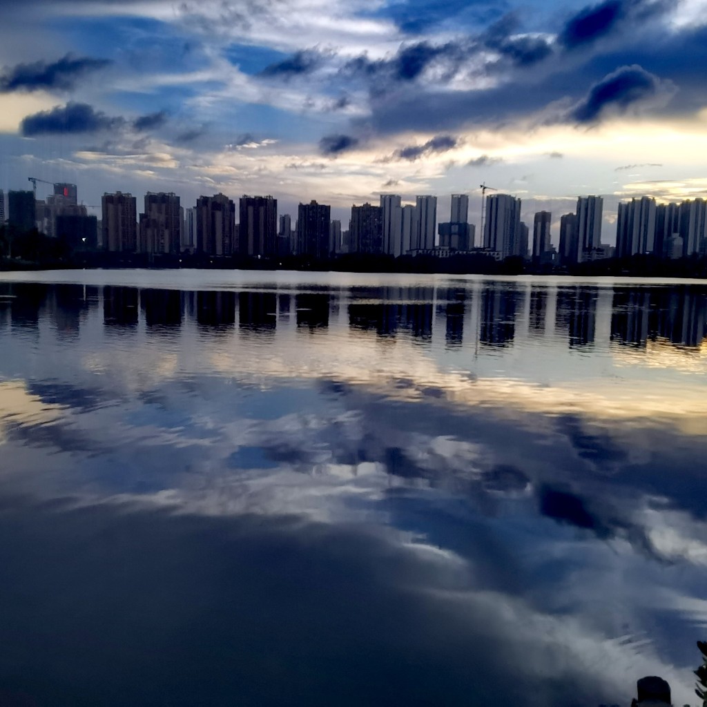 雨文槿